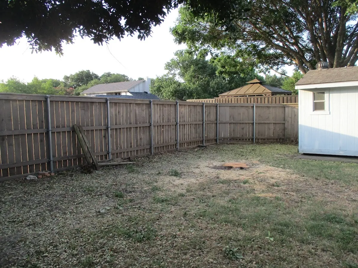 Cleared yard after professional tree removal in Lansford